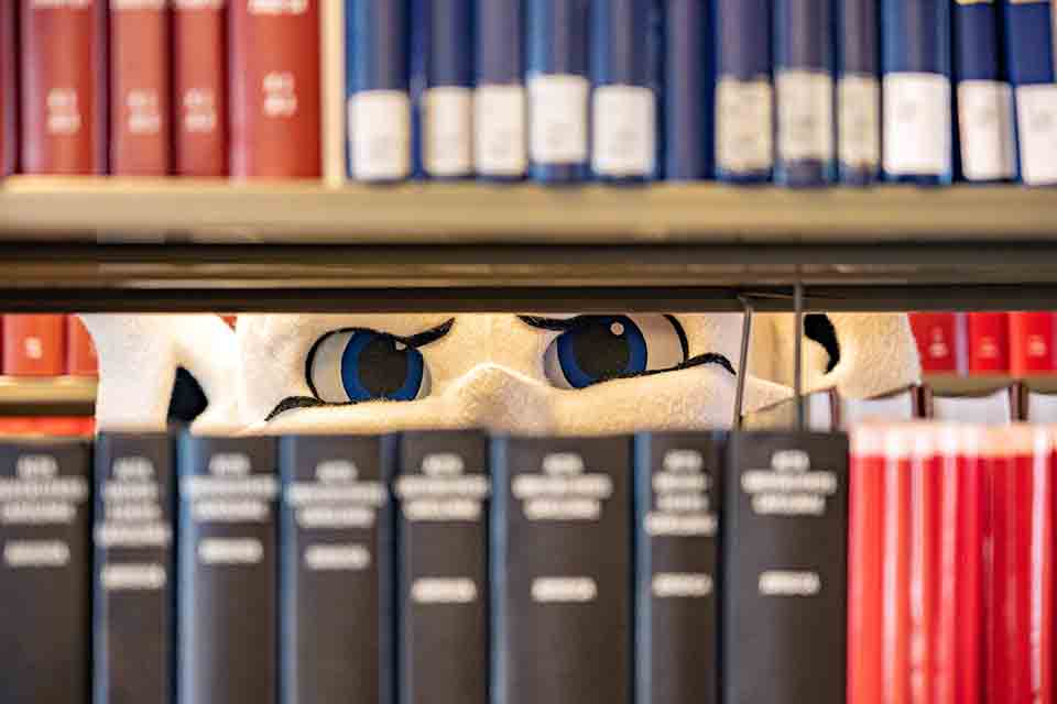 Saint Louis University Billiken eyes peeking between library shelves