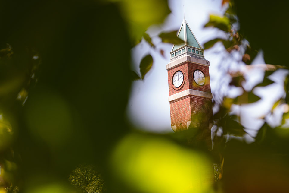 The top of the clock tower sticks out through the leaves on July 11, 2023. Photo by Sarah Conroy.
