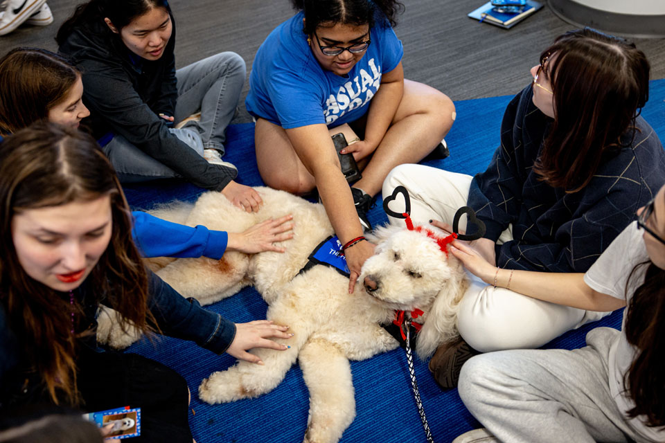 Students pet Doug, a DuoTouch Therapy Dog, during wellness day on Friday, Feb. 9. Photo by Sarah Conroy.