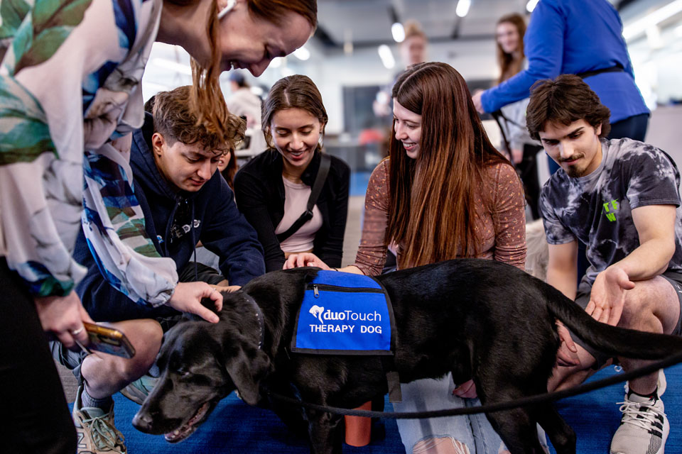 Students pet Ozzie, a DuoTouch Therapy Dog, during wellness day on Friday, Feb. 9. Photo by Sarah Conroy.