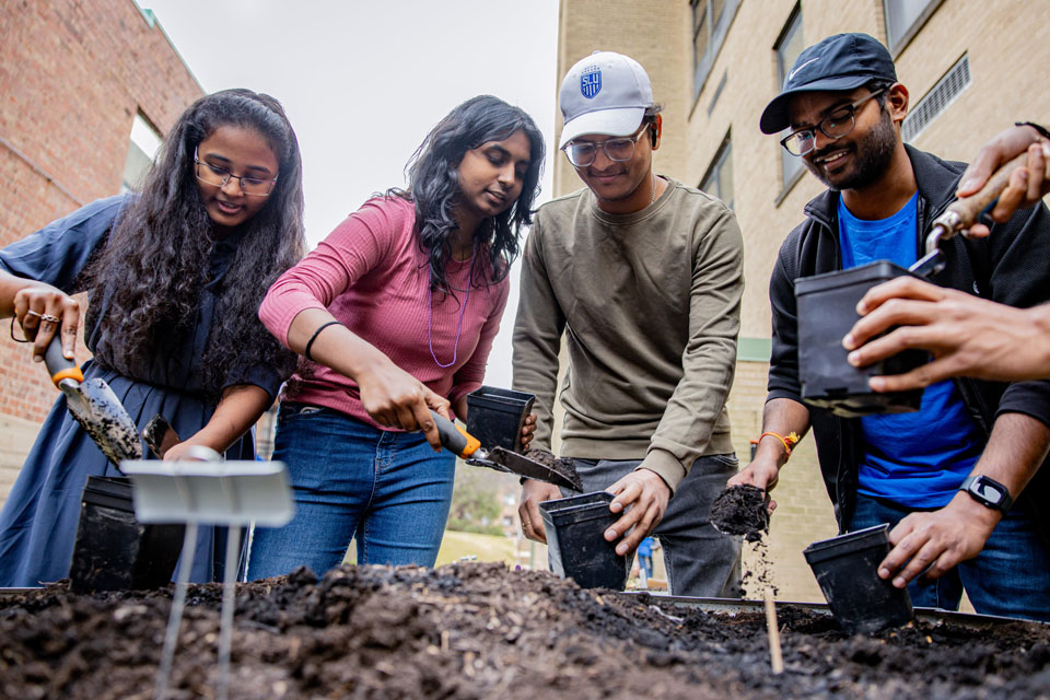 International students plant in the Wellness Garden as part of Seed SLU during wellness day on Friday, Feb. 9. Photo by Sarah Conroy.