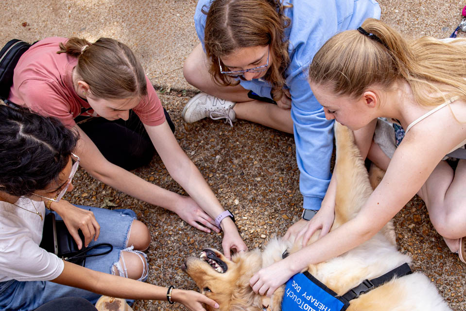 Students pet a Duo Touch Therapy dog during Wellness Day on Wednesday, Sept. 25, 2024. Photo by Sarah Conroy.  