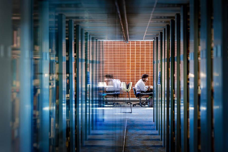 A student studies for midterm exams in Pius XII Memorial Library on Oct. 16, 2024. This photo won first place in the University Photographers Association monthly photo contest. Photo by Sarah Conroy. 