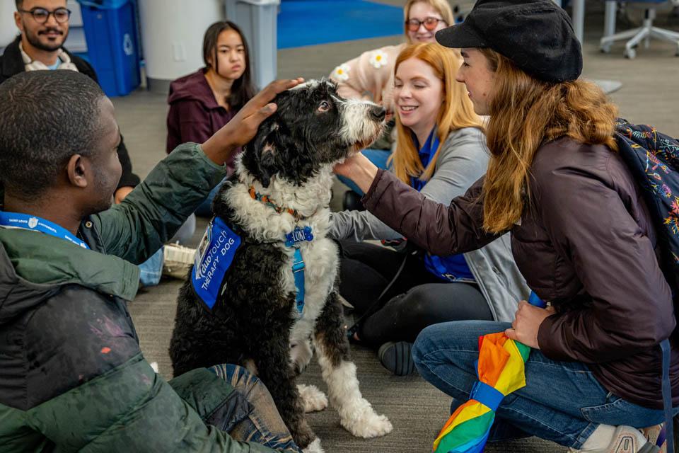 Students pet Duo Dog Loki during Wellness Day on Feb. 5, 2025. Photo by Sarah Conroy. 