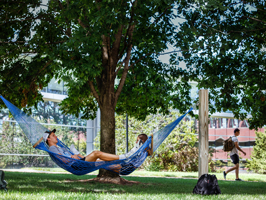 view of a student in a hammock on the quad