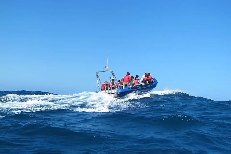 An inflatable zodiac boat is seen from behind, with passengers wearing life preservers, on an ocean with waves