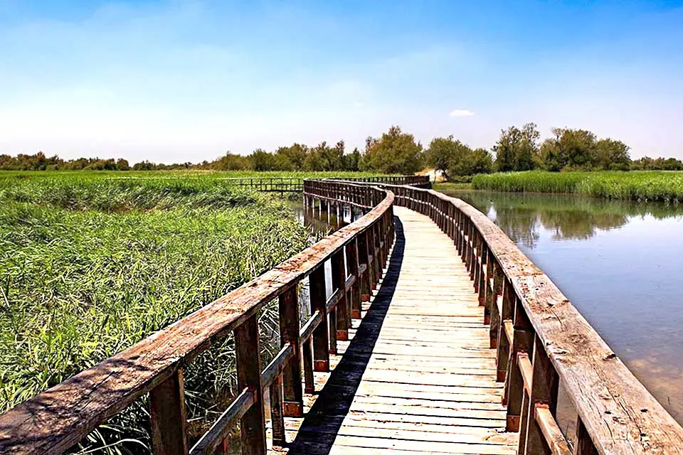A wooden footbridge stretches across a lagoon.