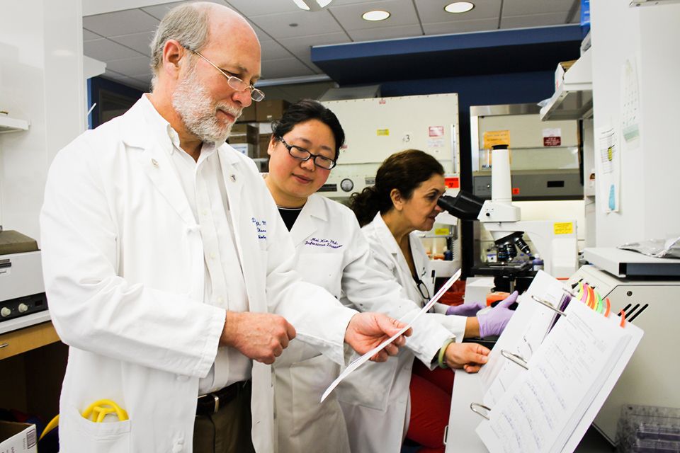 Director of the Saint Louis University Center for Vaccine Development Daniel Hoft, M.D., Ph.D., works with colleagues in the lab. SLU File Photo.