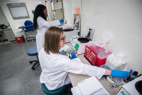 Students in a research setting