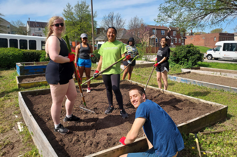 Students work in a garden with tools under a blue sky