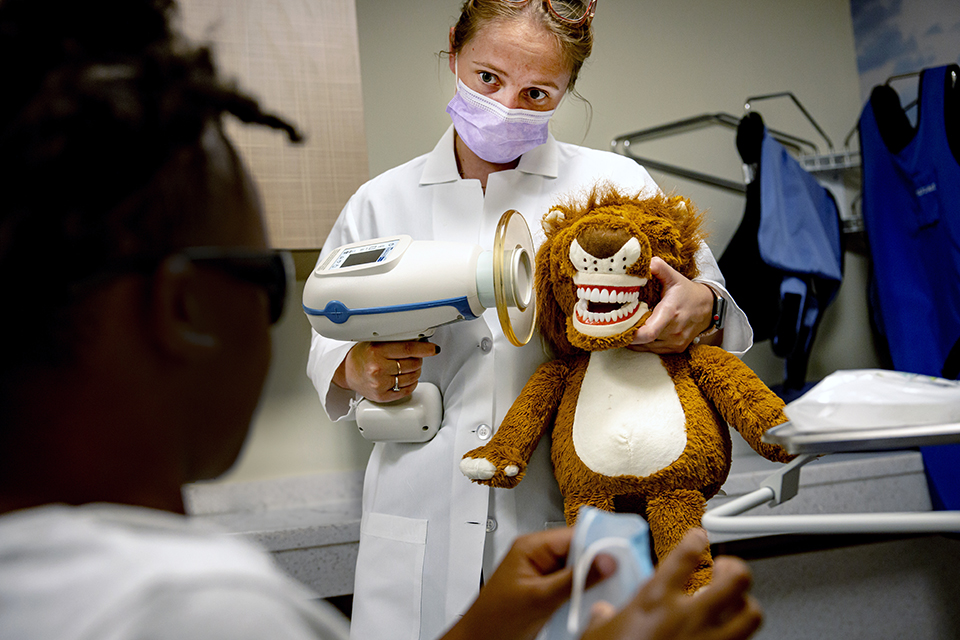 A student holds a piece of equipment up to the mouth of a stuffed animal with a model of human teeth where its mouth should be,