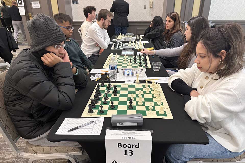 chess players in action