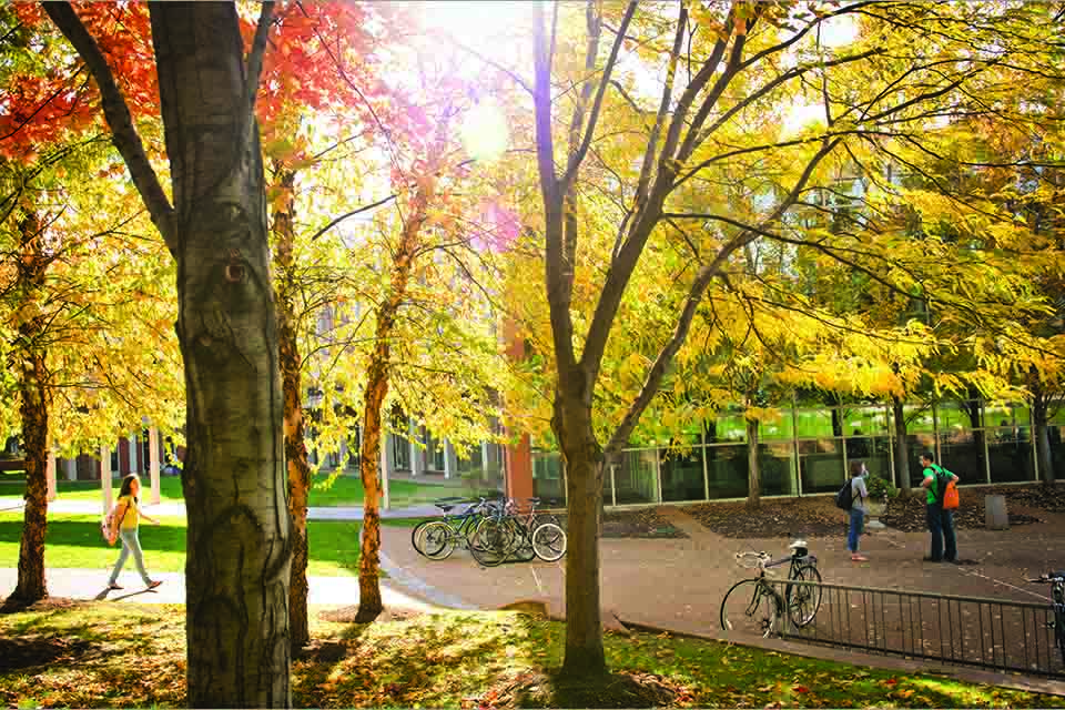 Fall leaves by the Busch Student Center