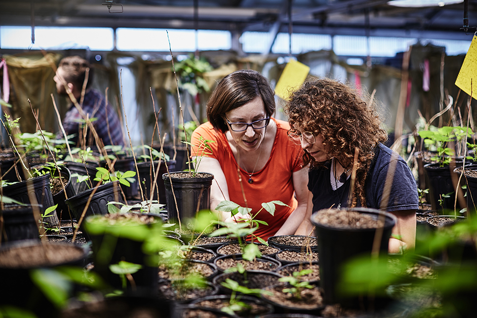 A professor and student study plants in a lab.